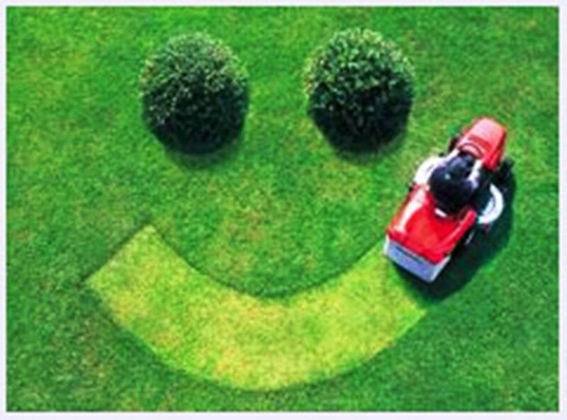 Adam Flora - Jasa Pembuatan Taman Profesional