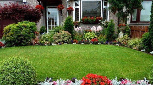 Jasa Buat Taman Murah Berkualitas