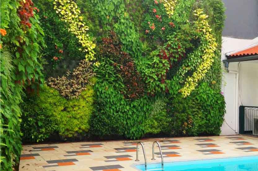 JASA BUAT TAMAN VERTICAL (VERTICAL GARDEN) MURAH - ADAM FLORA