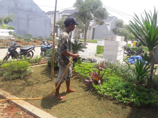 JASA BUAT TAMAN LANDSCAPE MURAH -Bintang Flora